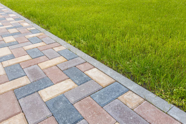 Best Decorative Driveway Pavers  in Spring Grove, IL